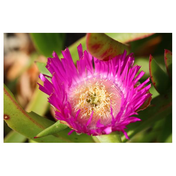 PHOTO84, CLUB, 84 , LUBERON